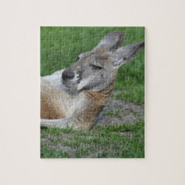 Laid-back Kangaroo Pussel