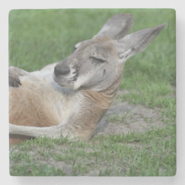 Laid-back Kangaroo Stenunderlägg
