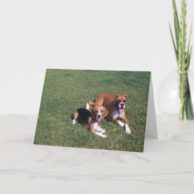 Laid Back Kort (Framsida)