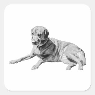 Laid-Out Hund, Chill Vibe Fyrkantigt Klistermärke