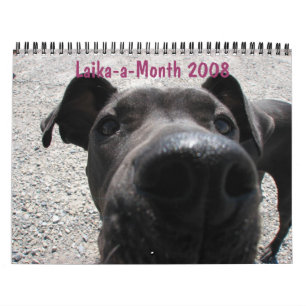 Laika-en-Månad 2008 kalender