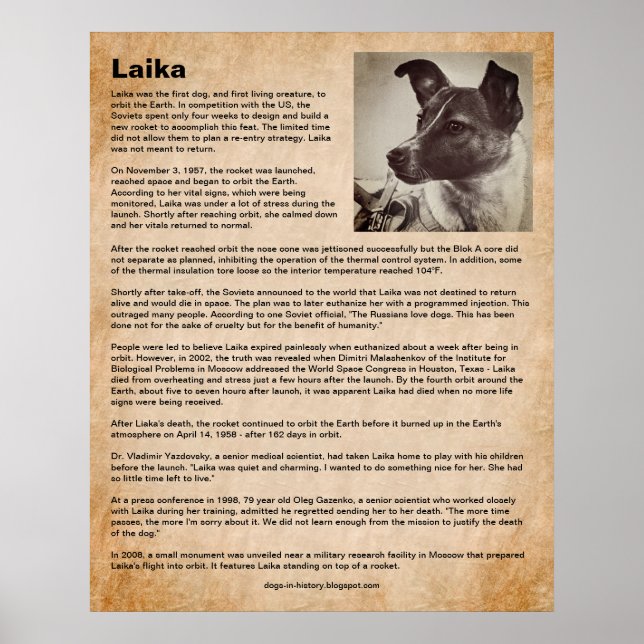 Laika, första Hund i rymden Poster (Framsidan)