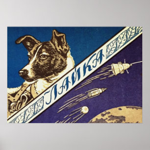 Laika - poster av sovjetisk vintage