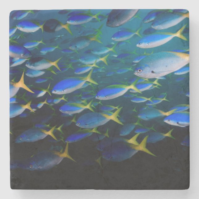 Laja Ampat undervattens- 5 Stenunderlägg (Framsidan)