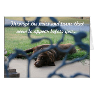 läka hälsningskort