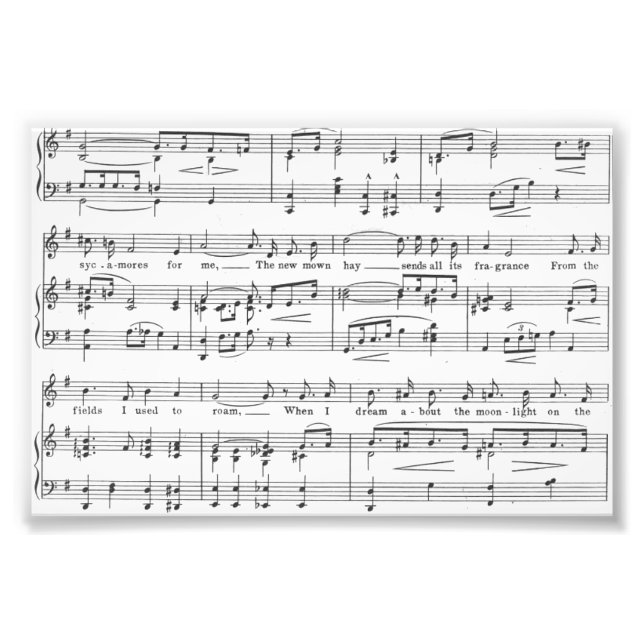 Lakan Music Black and White Mönster Fototryck (Framsidan)