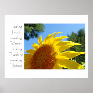 Lakande beröring konsttryck Gul Solros Blommig Poster