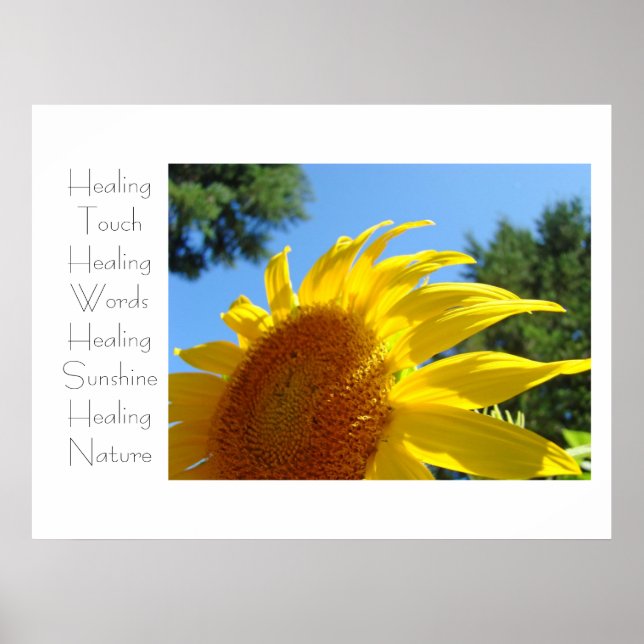 Lakande beröring konsttryck Gul Solros Blommig Poster (Framsidan)