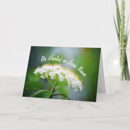 Läkas i Jesu Namn Vita Blommor Kristna Kort