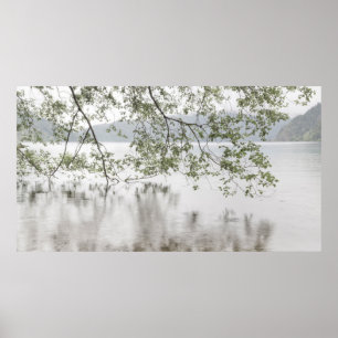 Lake Crescent   Olympic National Park, WA Poster