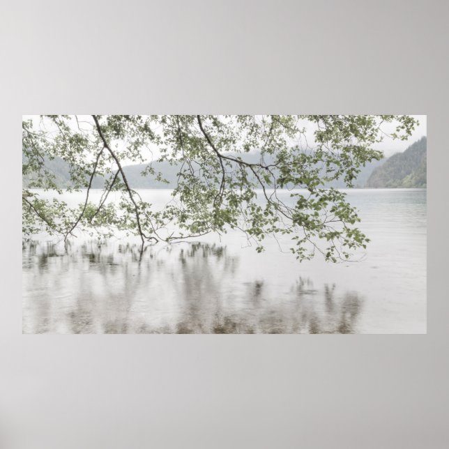 Lake Crescent | Olympic National Park, WA Poster (Framsidan)
