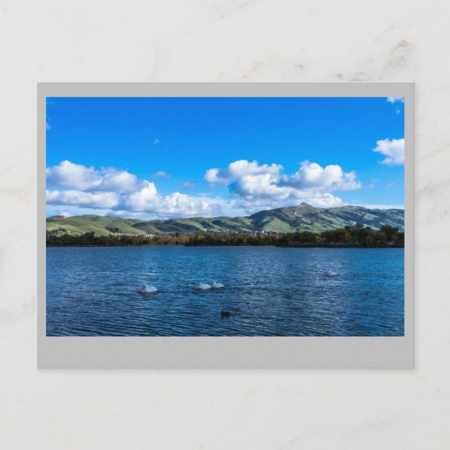 Lake Elizabeth  Fremont Ca. Vykort (Framsida)