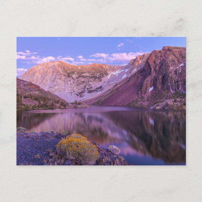 Lake Ellery and Sierra Mountains at dusk Vykort (Framsida)