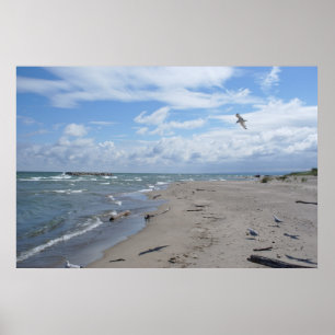 Lake Erie från den Presque islen Poster