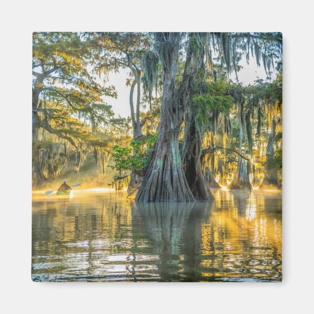 Lake Fausse Pointe State Park Magnet (Framsidan)