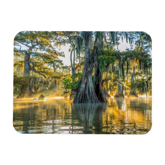 Lake Fausse Pointe State Park Magnet (Horisontell)