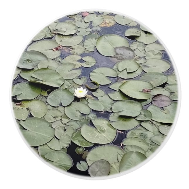 Lake Lily Pad Explosion Knopp (Framsidan)