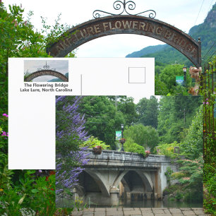 Lake Lure Flowering Bridge North Carolina Foto Vykort