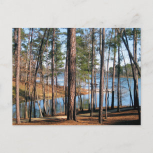 Lake Martin Alabama Skogssjö Fotografering Vykort