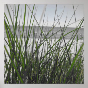Lake Michigan bak gräs Poster