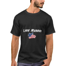 Lake Murray South Carolina Patriotisk Örn