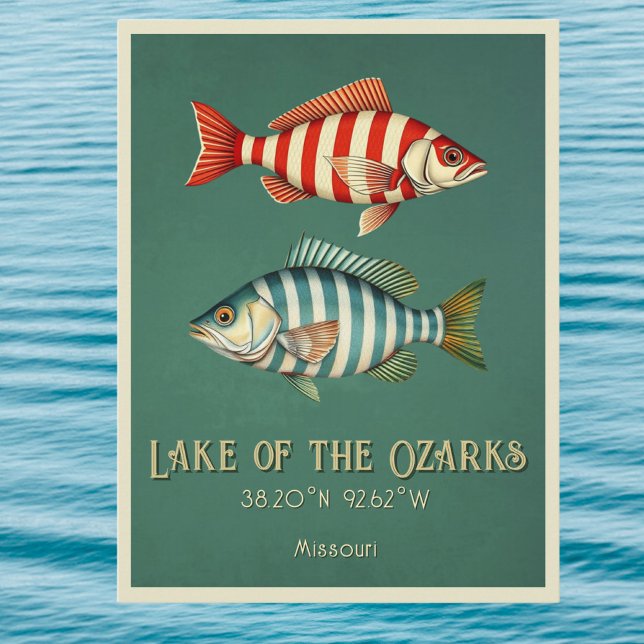 Lake of the Ozarks Missouri fisk vykort (Skapare uppladdad)