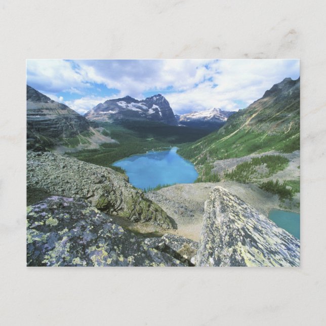 Lake O'Hara, Yoho NP, BC, Kanada Vykort (Framsida)