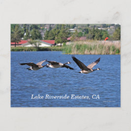 Lake Riverside Estates, CA vykort