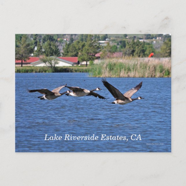 Lake Riverside Estates, CA vykort (Framsida)