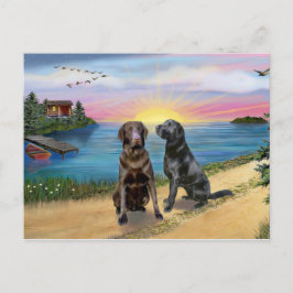Lake Road - Två Labrador Retriever (Choklad-Svart) Vykort