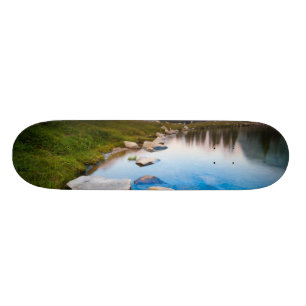 Lake Solitude Old School Skateboard Bräda 18 Cm