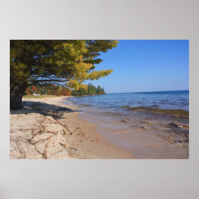 Lake Superior, Brunette Park på hösten Poster (Framsidan)