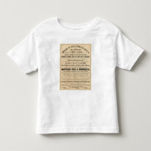 Lake Superior Iowa och Minnesota annonsering Tee Shirt