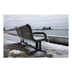 Lake Superior parkerar tar av planet i vinter Fototryck