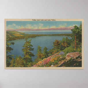 Lake Tahoe, CA - stupad löv sjö och Lake Tahoe Poster