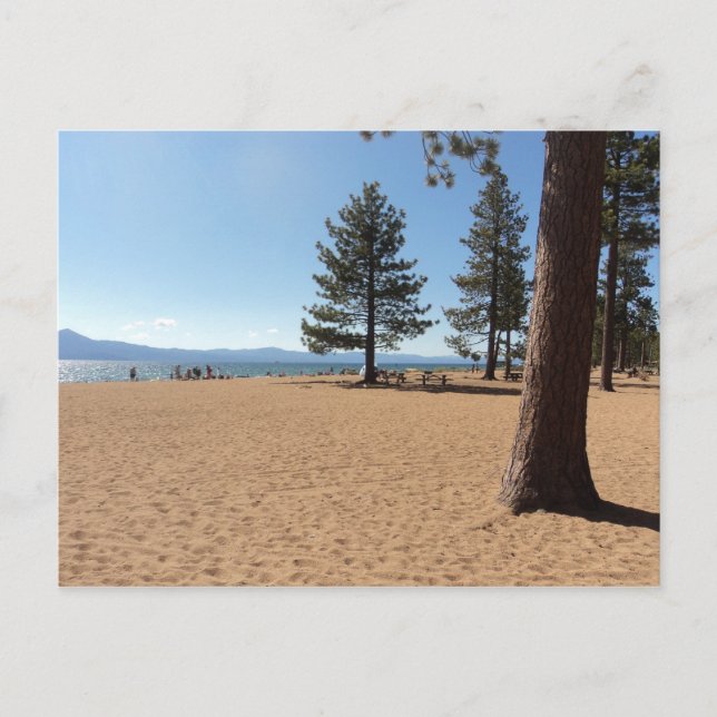 Lake Tahoe evergreen Vykort (Framsida)