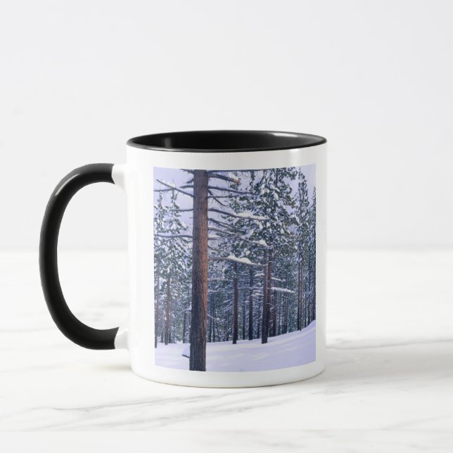 LAKE TAHOE STATE PARK, NEVADA. USA. Färsk snö Mugg (Vänster)