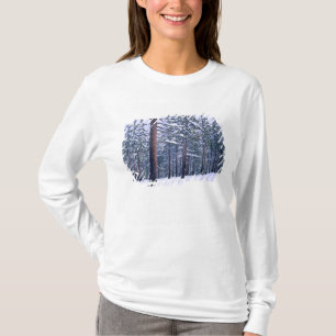 LAKE TAHOE STATE PARK, NEVADA. USA. Färsk snö T-shirt