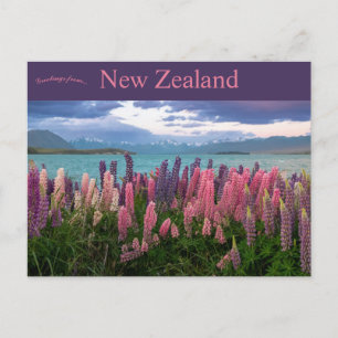 Lake Tekapo Nya Zeeland Vykort