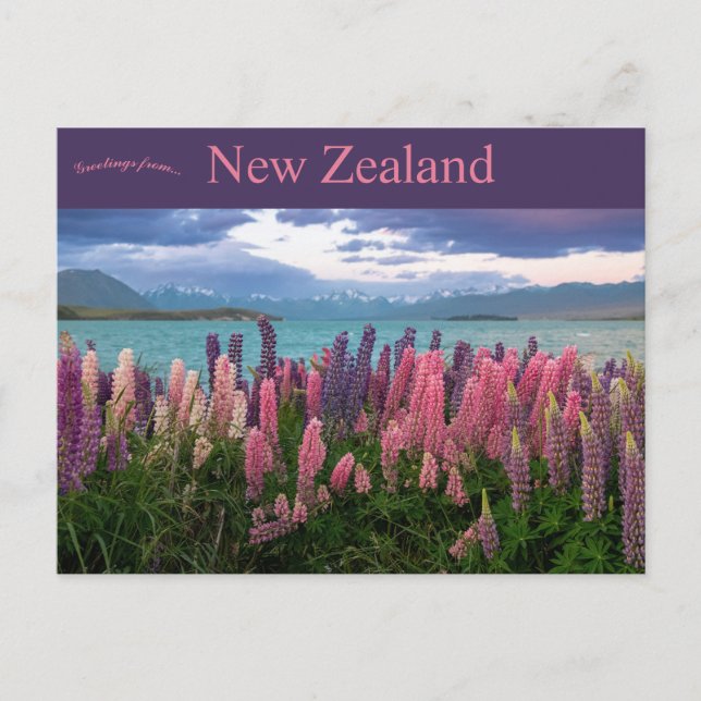 Lake Tekapo Nya Zeeland Vykort (Framsida)