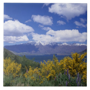 Lake Wakatipu och The Remarkables, Queenstown, Kakelplatta