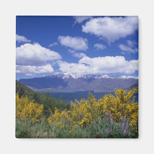Lake Wakatipu och The Remarkables, Queenstown, Magnet (Framsidan)