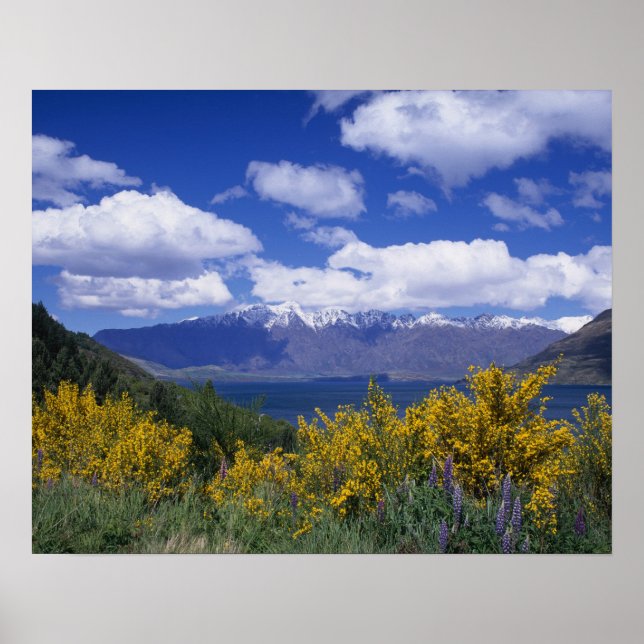 Lake Wakatipu och The Remarkables, Queenstown, Poster (Framsidan)