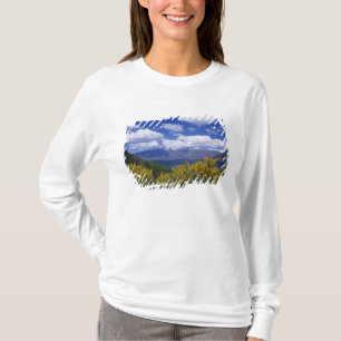 Lake Wakatipu och The Remarkables, Queenstown, Tee