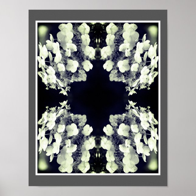 Lakecap Hydrangea Black and White Abstrakt Poster (Framsidan)