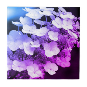 Lakecap Hydrangea Black and White Färg Tint Kakelplatta