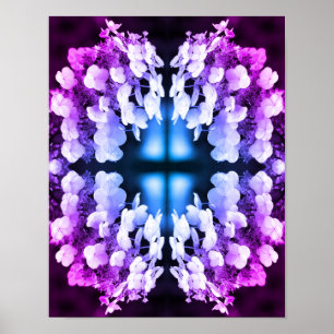 Lakecap Hydrangea Svart och vit Abstrakt, tonad Poster
