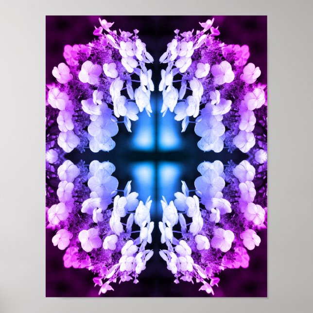 Lakecap Hydrangea Svart och vit Abstrakt, tonad Poster (Framsidan)