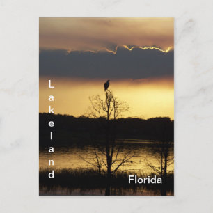 Lakeland Florida Solnedgång 139 vykort