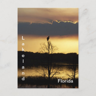 Lakeland Florida Solnedgång 139 vykort